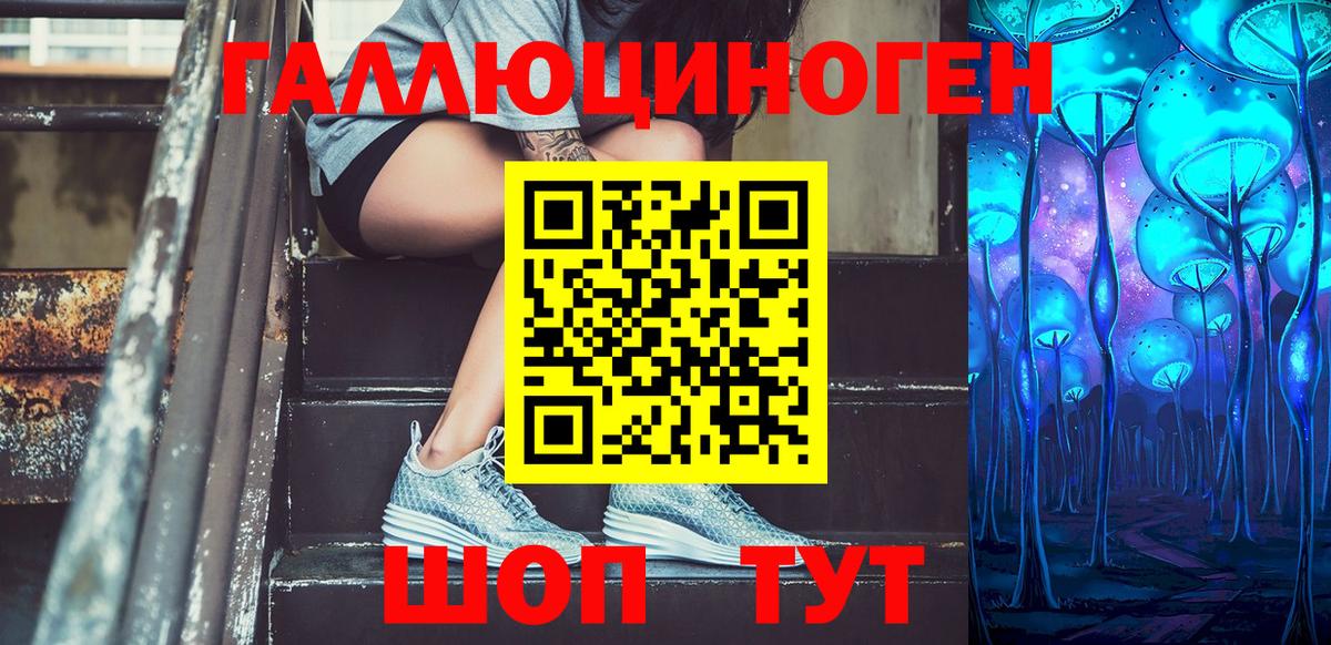 Ногинск  наркошоп  Галлюциногенные грибы GOLDEN TEACHER  Вход с VPN  Псилоцибиновые грибы Psilocybine cubensis 